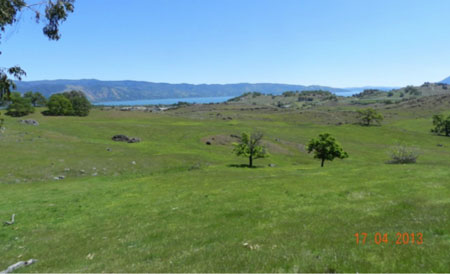 Lake County Acreage