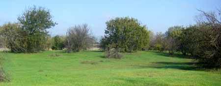 KM Properties