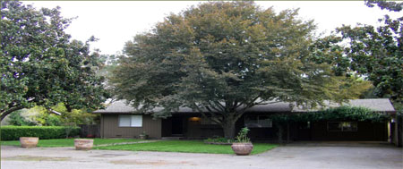2 Bedroom 2 Bathroom Home on Quarter Acre Parcel