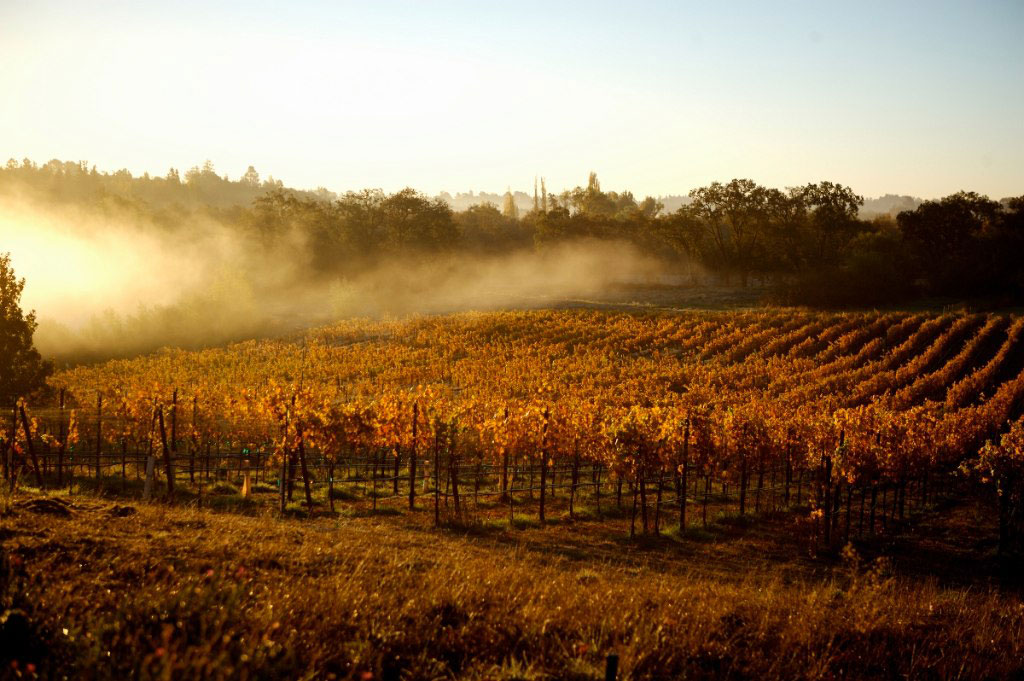 Vineyard Properties & Wine Country Acreage for Sale & Lease KM