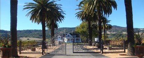 Blue Victorian Winery For Sale